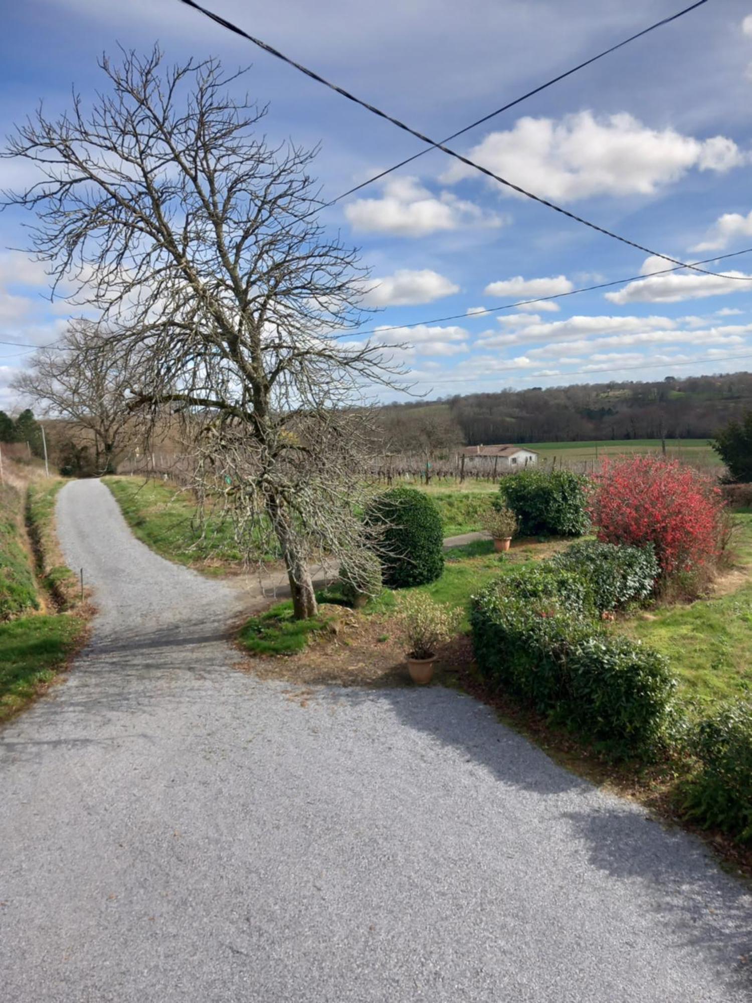 Maison de campagne Les Chênes. Panjas Exterior foto